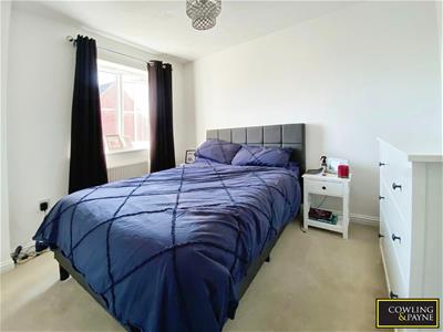 Picture 15